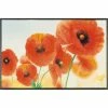 Aktion 🥰 Kleen-Tex Wash+dry Fußmatte Sunny Poppy Waschbare Schmutzmatte Mohnblumen, Größe:50 X 75 Cm 🧨
